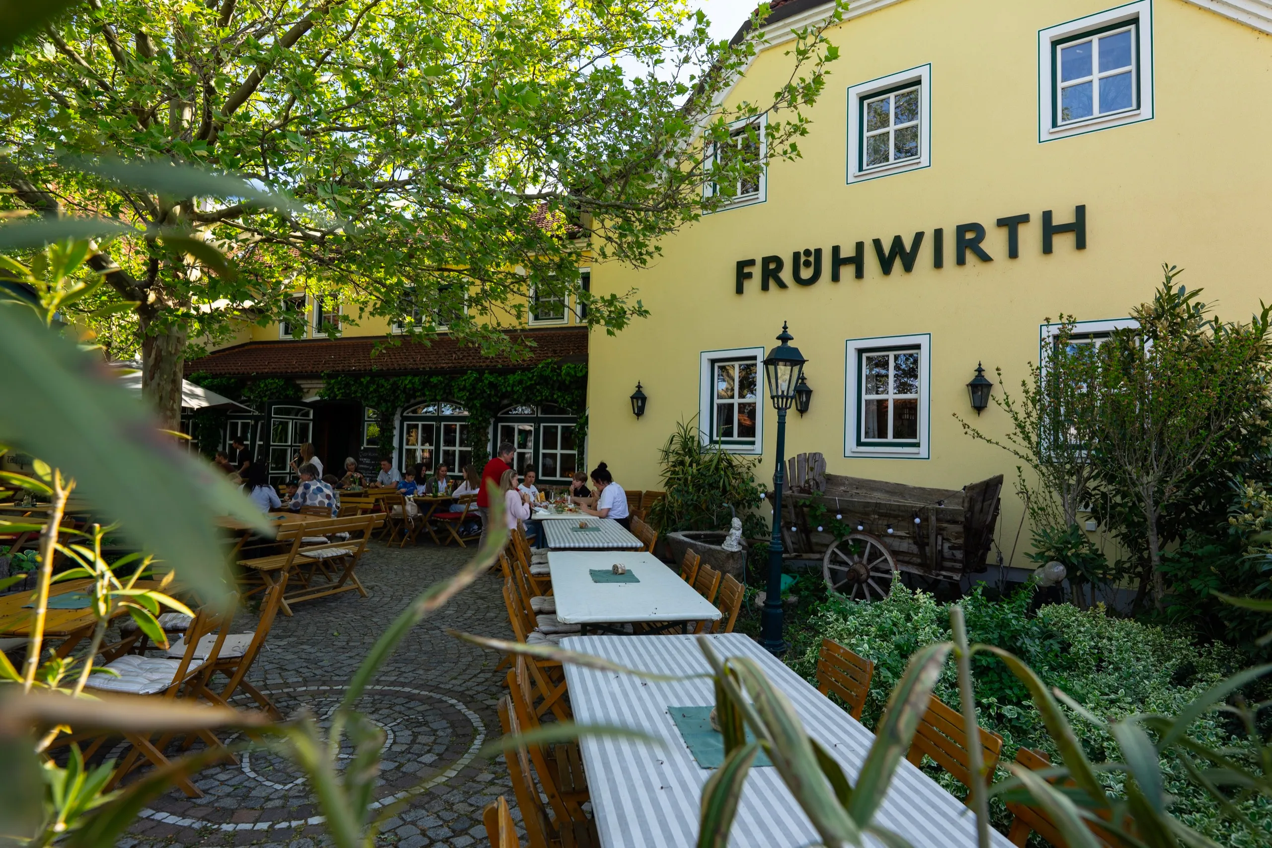 The garden in front of the yellow house with the Frühwirth lettering, laid tables under the plane tree, guests in the background