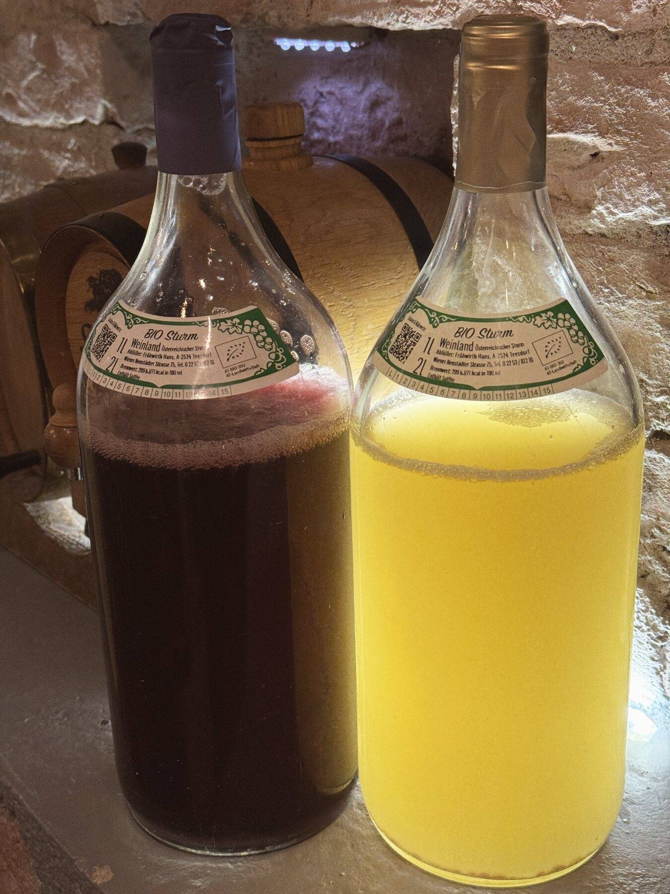 Zwei 2-Liter-Flaschen Bio-Sturm, rot und weiß, im Weinkeller vor Fass und Steinwand