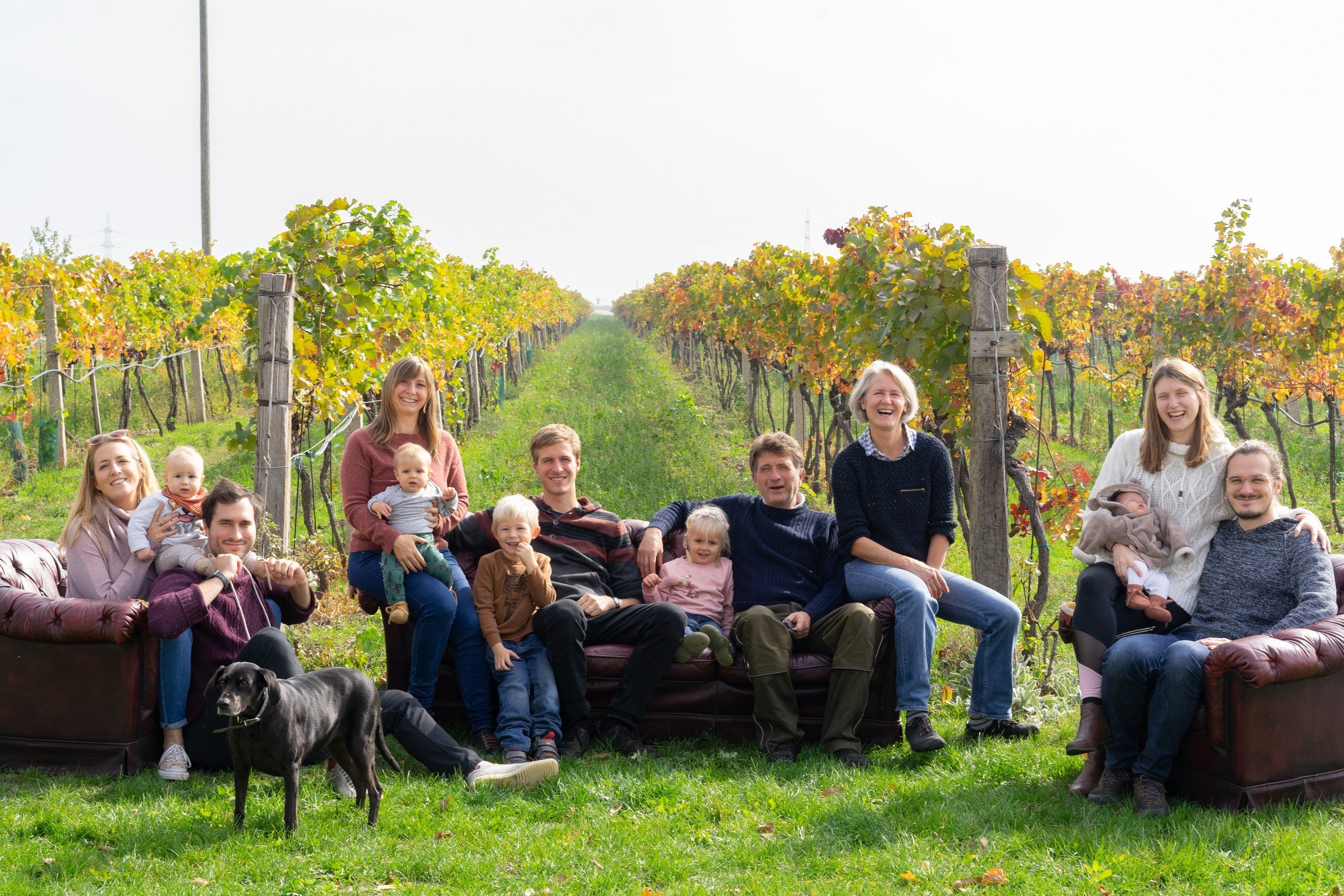 The Frühwirth family on leather sofas in a row of vines turning autumn colours: grandparents, their adult children with partners, four grandchildren and the dog.